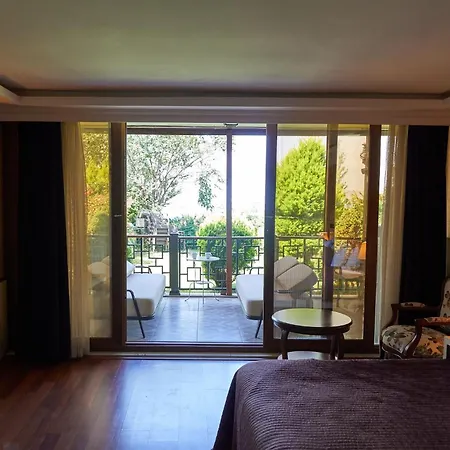 Phellos Boutique Шиле