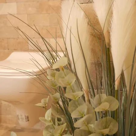 Phellos Boutique Hotel