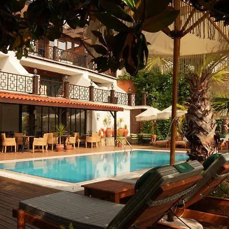 Phellos Boutique 3* Ağva